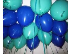 Matt Dark Blue and Wintergreen Helium Latex Balloons
www.corporaterewards.com.au