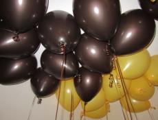 Metallic Chocolate & Goldenred Helium Latex Balloons
www.CorporateRewards.com.au