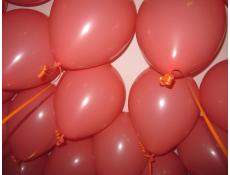 Matt Coral Fashion Helium Latex Balloons
www.corporaterewards.com.au