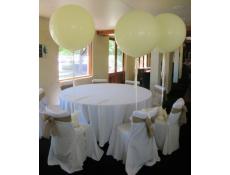 Gaint 90cm Latex Helium Wedding Balloons | Ivory
Swan Valley Winery | CorporateRewards.com.au
