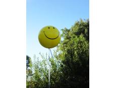 Giant Yellow Smiley Face Balloon
CorporateRewards.com.au