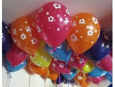 Print Daisy & Butterflies Helium Latex Balloons
www.CorporateRewards.com.au