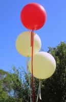 Wedding Balloons Perth | Ivory Red 3 Foot Helium Latex Balloons