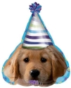 Helium Balloons Perth | Puppy Dog Party Balloons