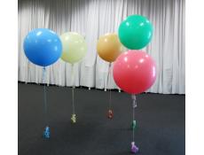 Giant Latex Balloons 90cm | Blue, Ivory, Bluch, Summer Green & Rose Pink Balloons
CorporateRewards.com.au